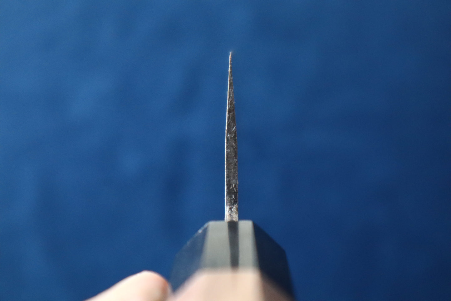 KAGEKIYO WN Gyuto 210mm