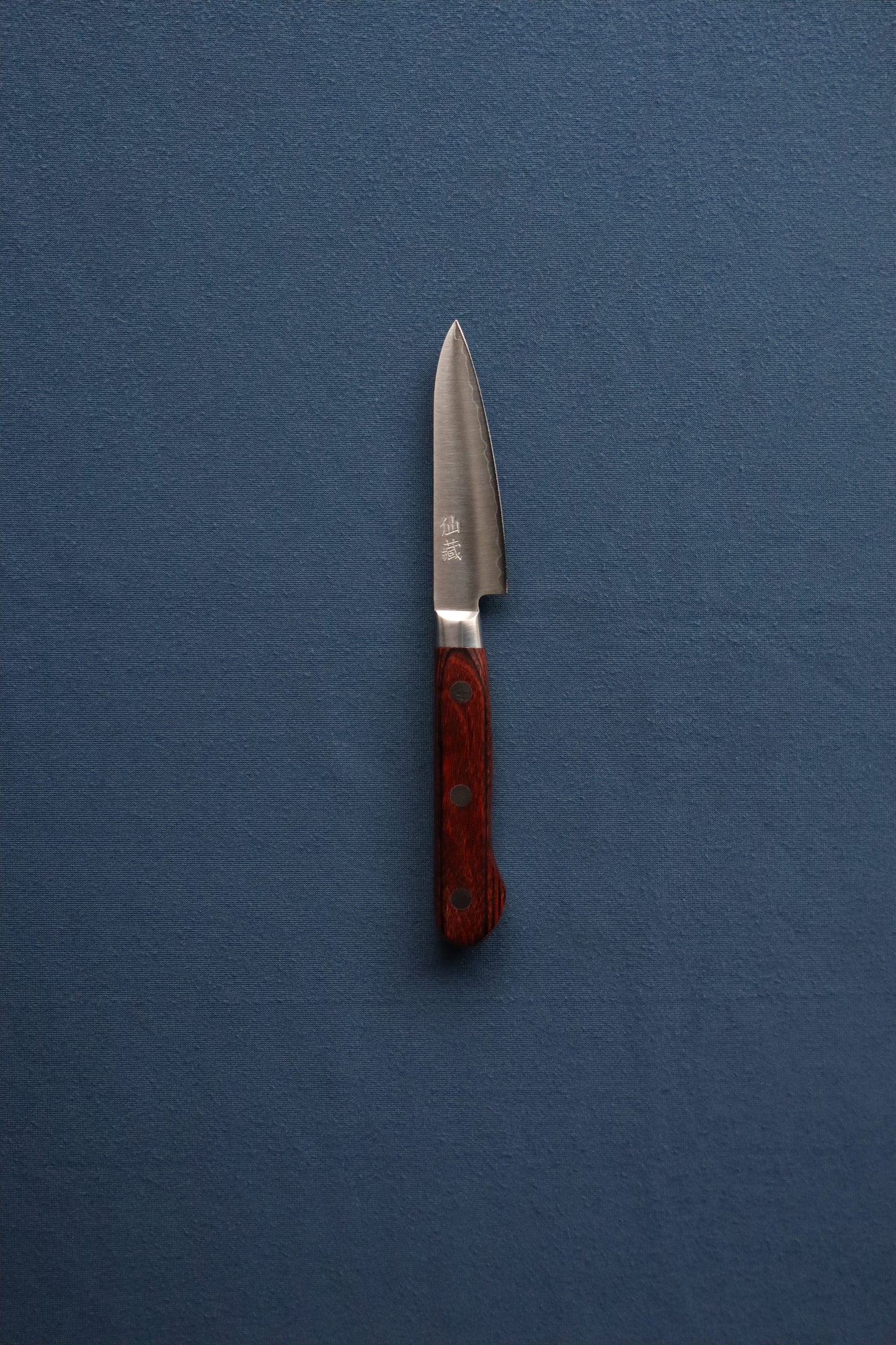 Mondeador Clad