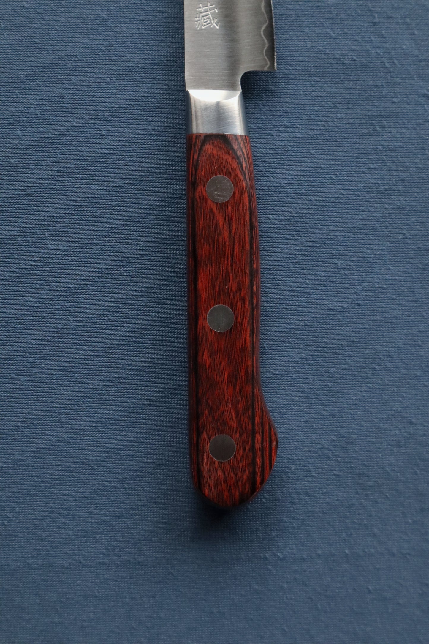 Mondeador Clad