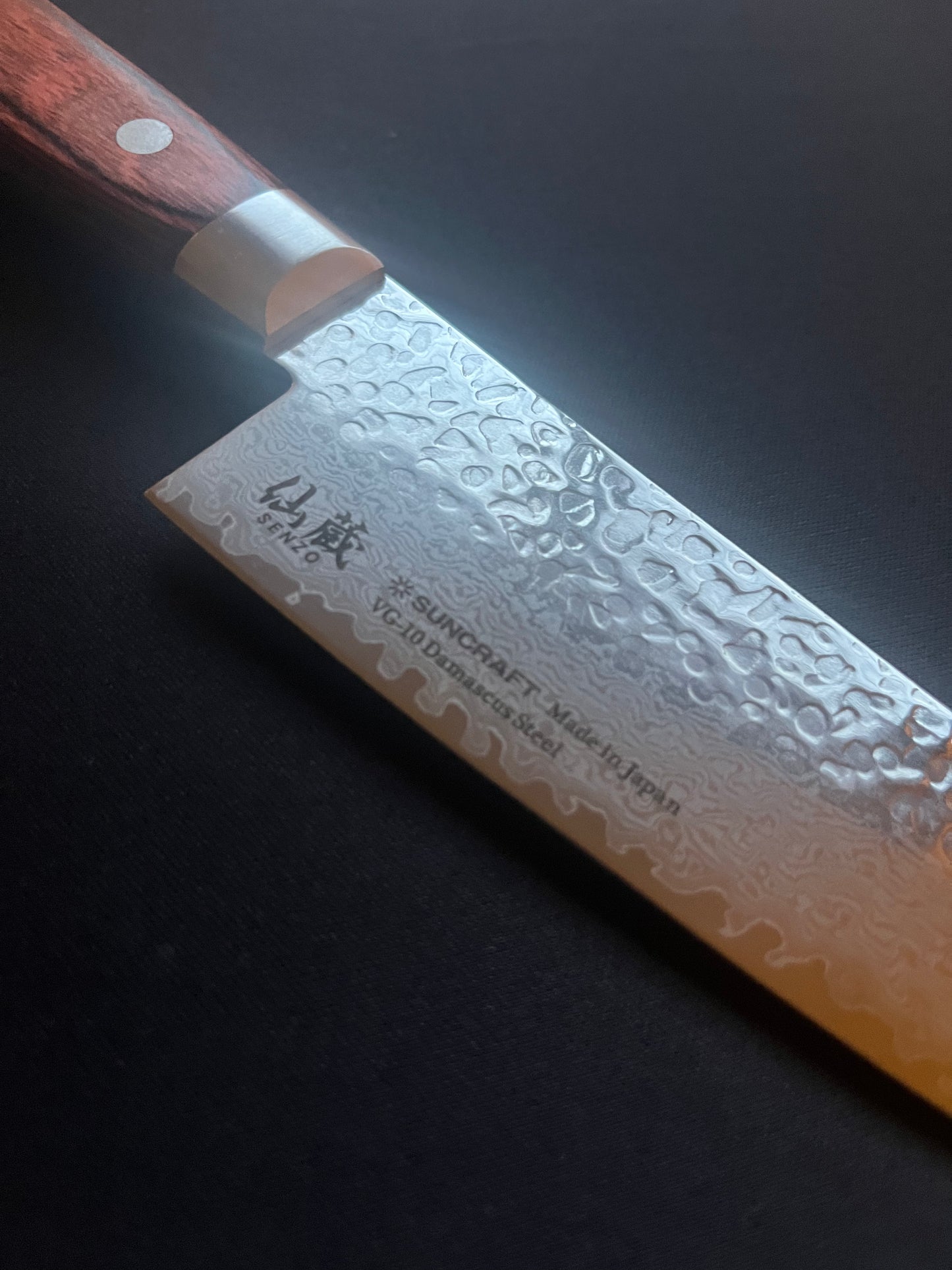 Universal Gyuto Damasco
