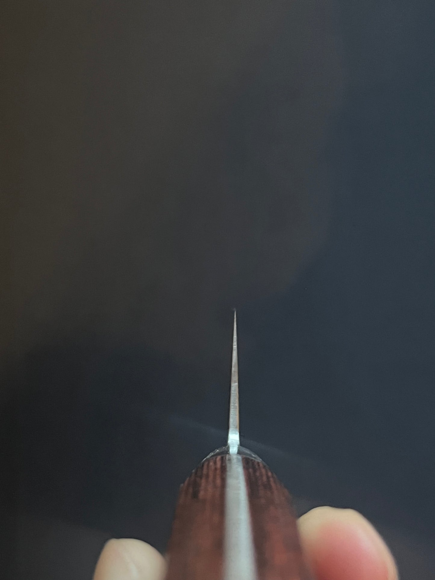 Universal Gyuto Damasco