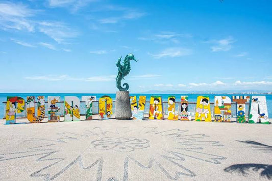 Viaje a Vallarta Enero 2024