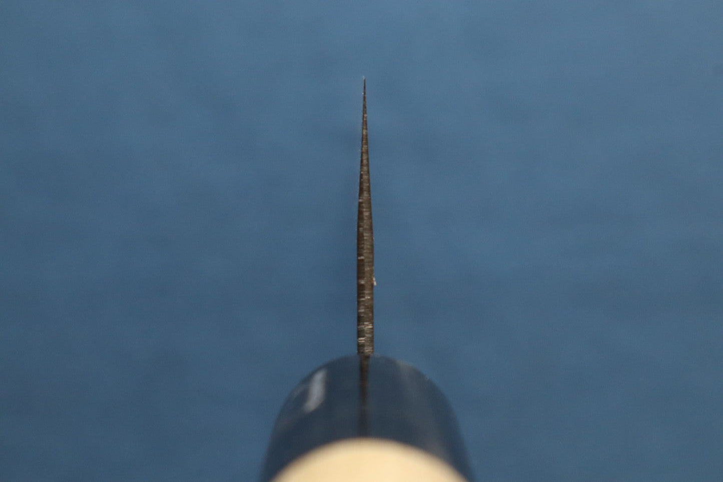 TSUCHIME VG1 WA Gyuto Magnolia