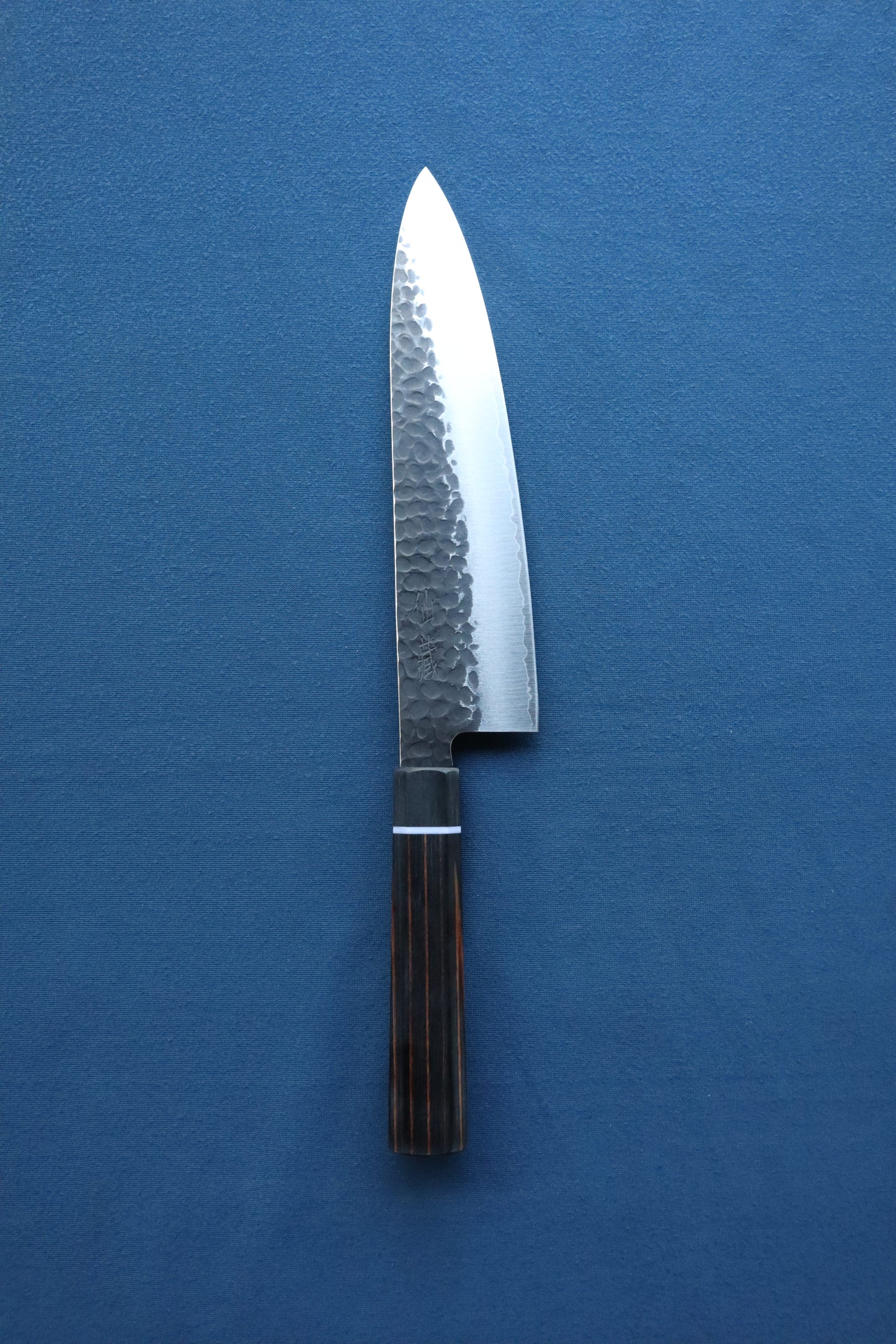 Gyuto SPG STRIX