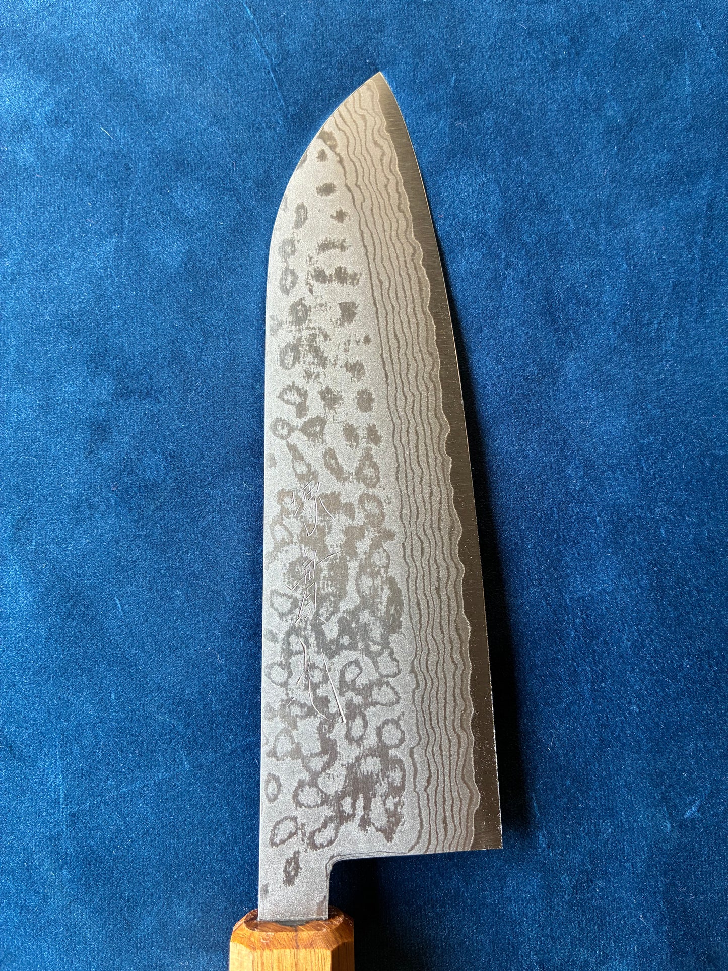 VG1 WA DAMASCUS SANTOKU ROBLE