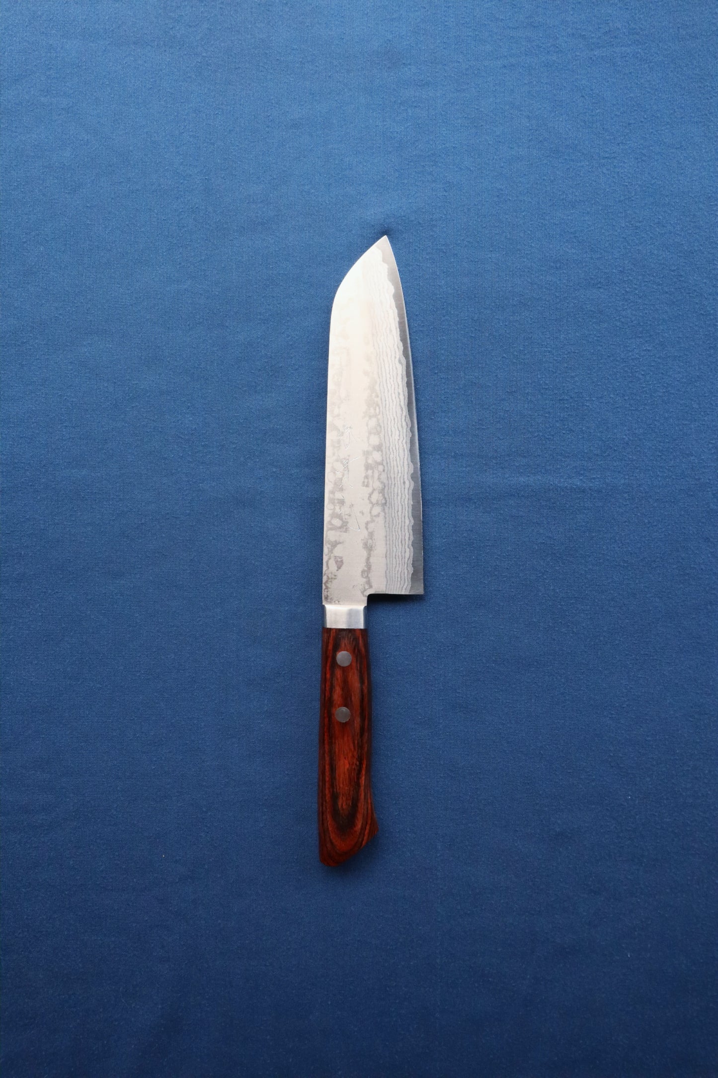 Santoku Damasco Panteo