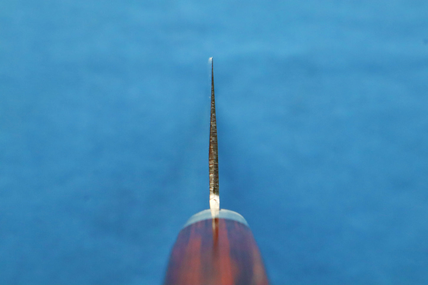 Santoku Damasco Panteo